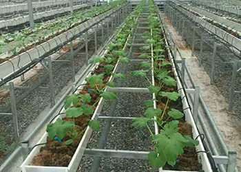 Greenhouse Benches, Racks and Shelves