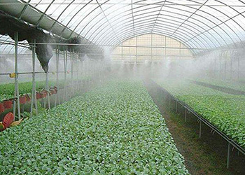 Greenhouse Misting System