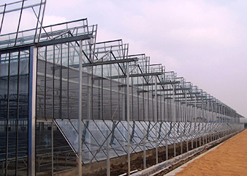 Cabriolet Greenhouse