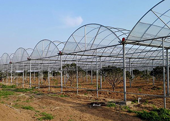 High Tunnels and Hoop Houses