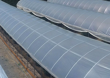 Rain Cover Greenhouse