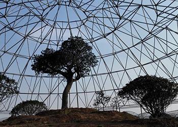 Raised Dome Greenhouse