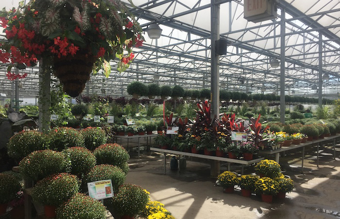 Retail Garden Center