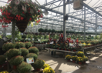 Retail Garden Center