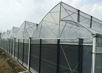 Sawtooth Greenhouse