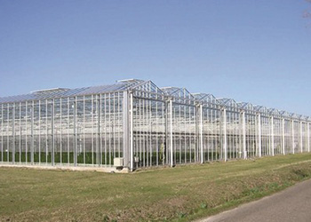 Venlo Greenhouse